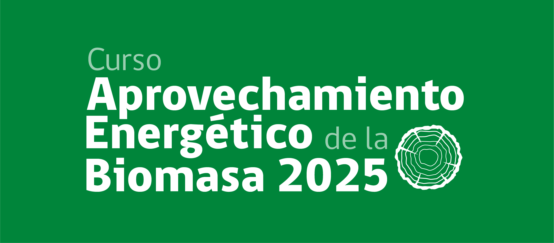 Aprovechamiento Energético de la Biomasa 2025
